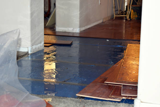 Professional Water Damage technician working in Hilbert, WI