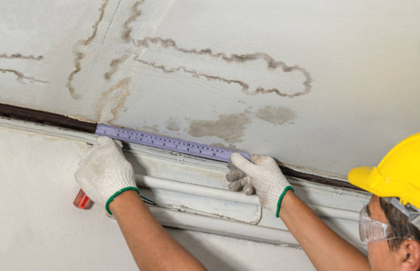 Reliable Water Damage contractor in Hilbert, WI by Water Damage Irwin